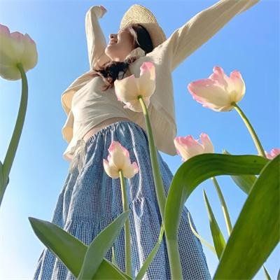 宫锁珠帘